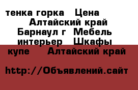 cтенка-горка › Цена ­ 4 000 - Алтайский край, Барнаул г. Мебель, интерьер » Шкафы, купе   . Алтайский край